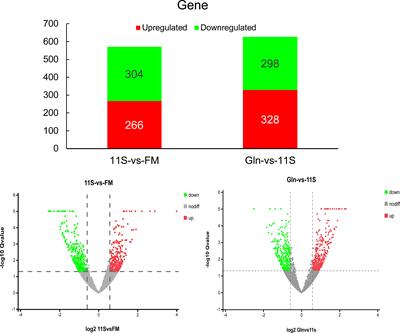 An integrated study of glutamine alleviates enteritis induced by glycinin in hybrid groupers using transcriptomics, proteomics and microRNA analyses